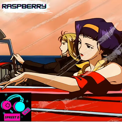 RASPBERRY | BeatStore Rap Beats and Samples