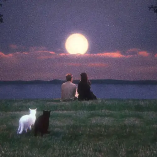 I MISS YOU | Buy Beats and Samples | BeatStore