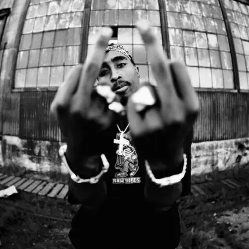 Gangsta | Buy Beats and Samples | BeatStore