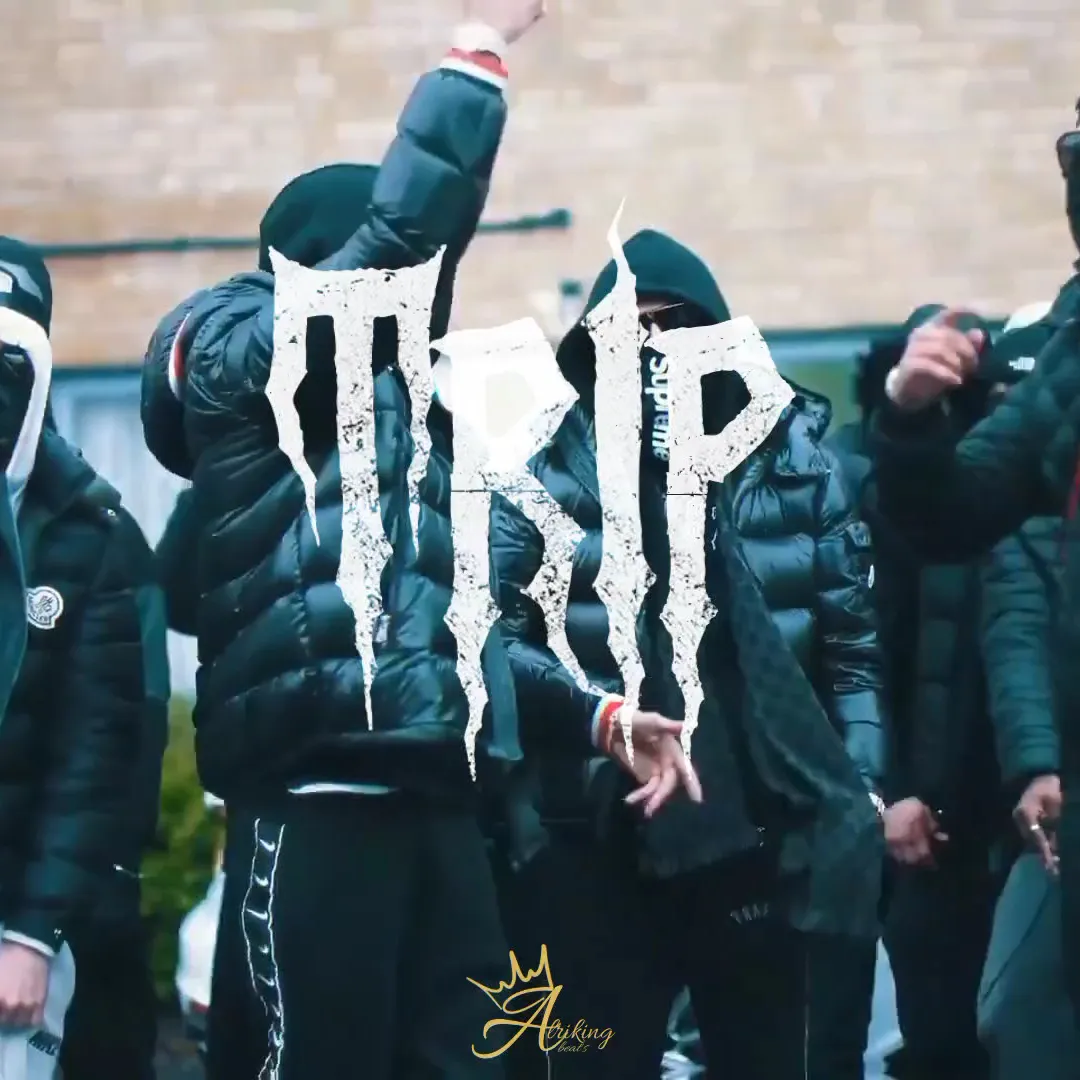 TRIP | BeatStore Rap Beats and Samples