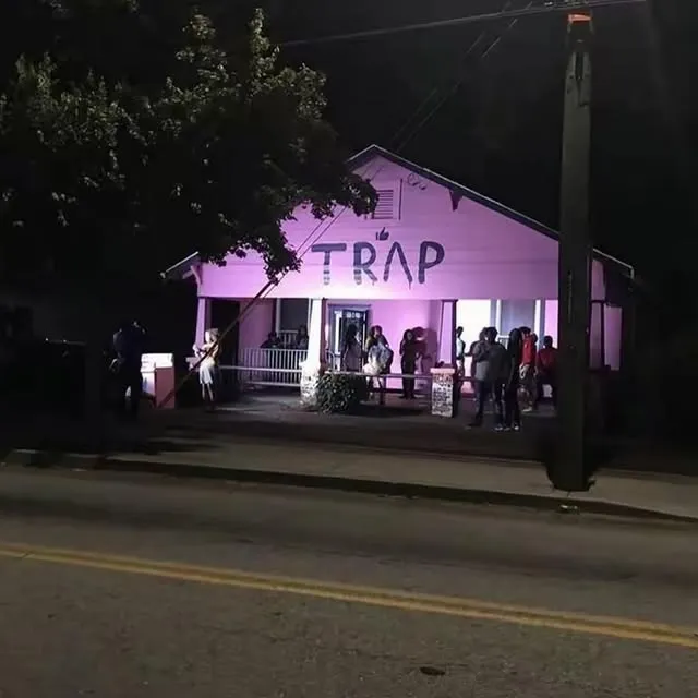 wild pigs | Buy Beats and Samples | BeatStore