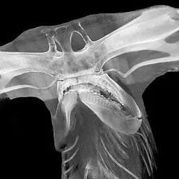 watch dogs 7 | Buy Beats and Samples | BeatStore