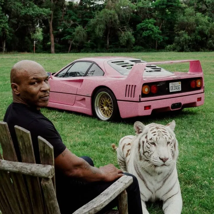 Street Dream's | Buy Beats and Samples | BeatStore