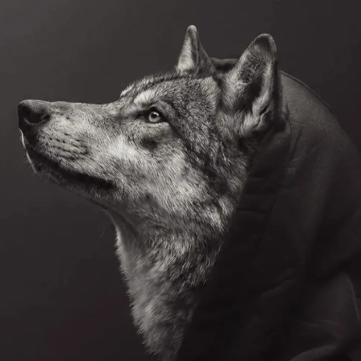 Silent Killer | BeatStore Rap Beats and Samples