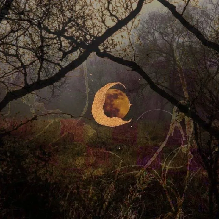 MOON | BeatStore Rap Beats and Samples
