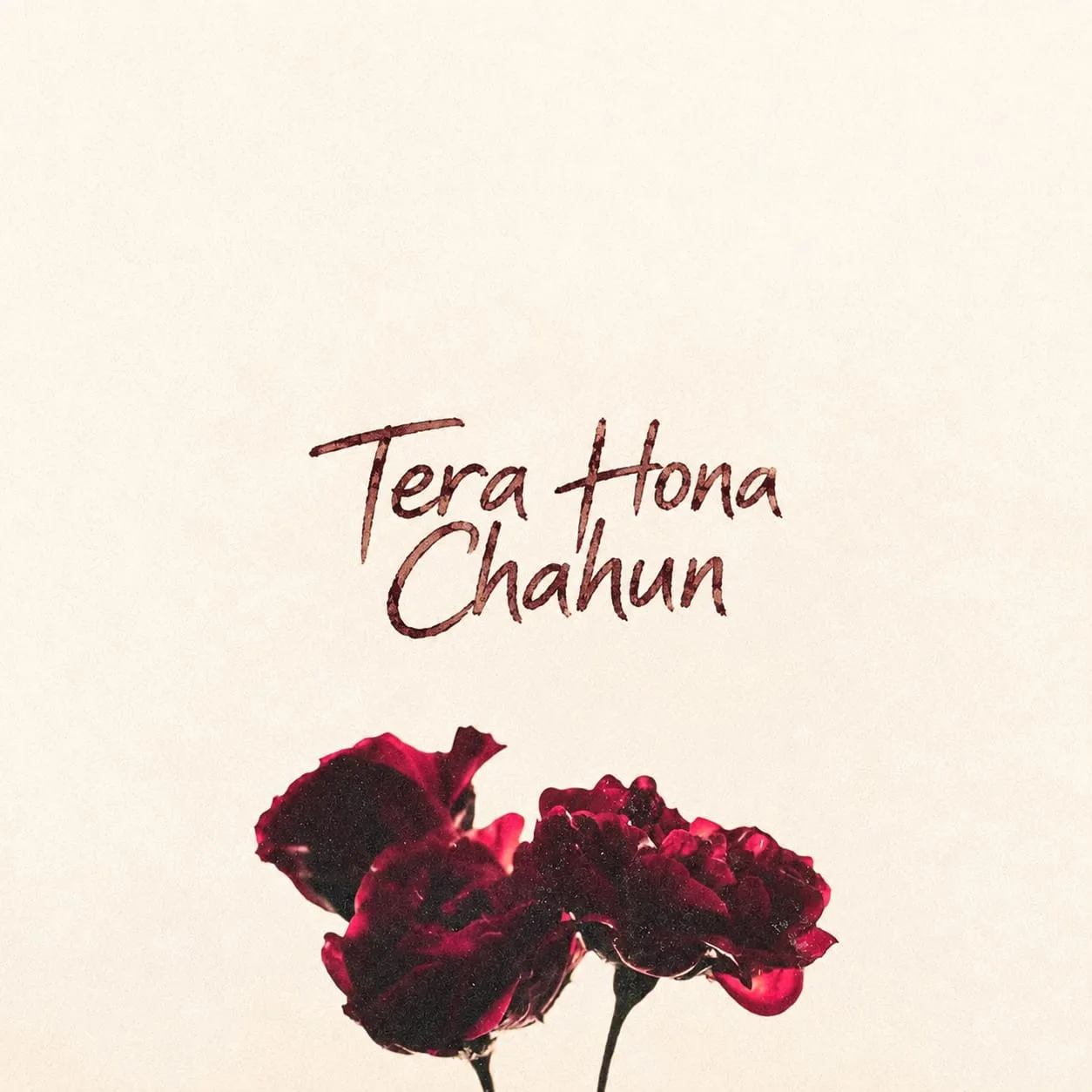 TERA HONA CHAHUN | BeatStore Rap Beats and Samples