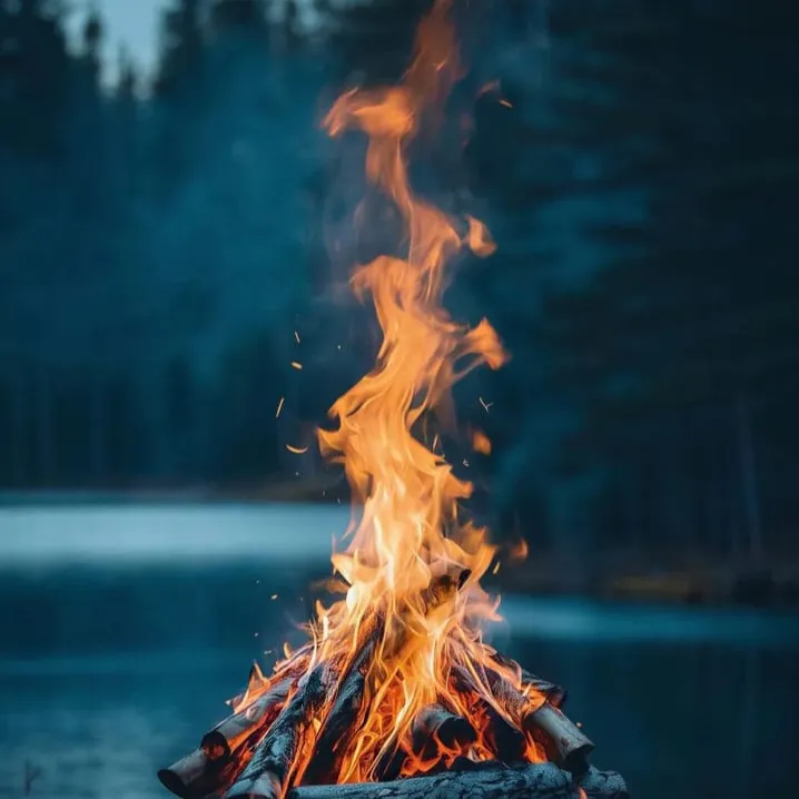 Fire woods | BeatStore Rap Beats and Samples