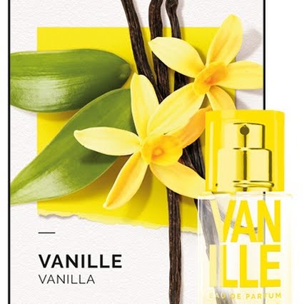 La somptueuse vanille, un parfum solaire aux accords exotiques