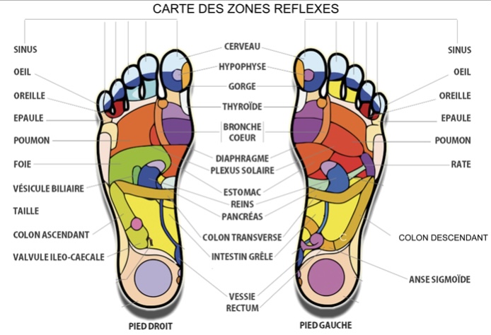 techniques de réflexologie plantaire