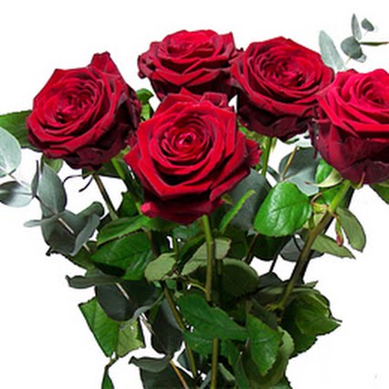 Naturellement Luxe : Un Bouquet de 5 ROSES Rouges fraiches pour offrir