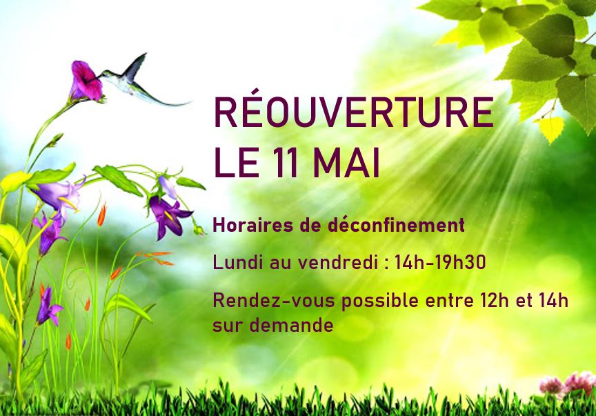 Reflexologie Et Sauna Japonais Vitae