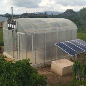 Introducing The Poly-cabinet Solar Dehydrator