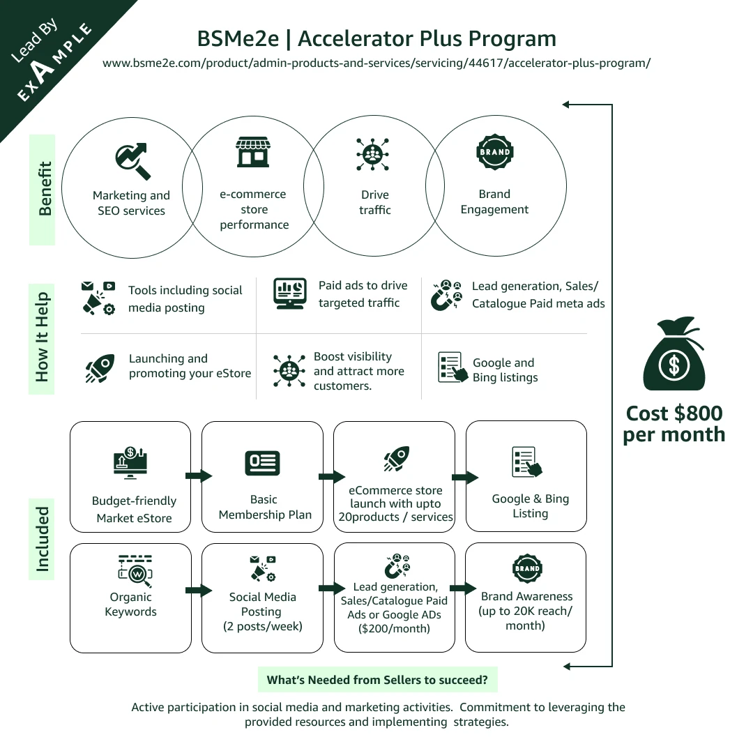 Accelerator+ Program: ecommerce Store Growth Solutions