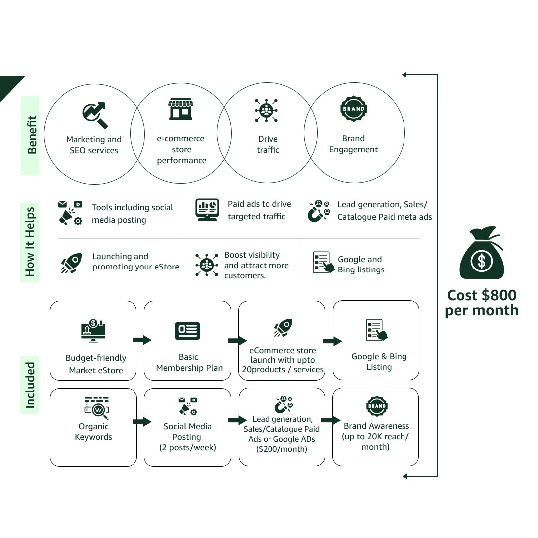 Accelerator+ Program: ecommerce Store Growth Solutions