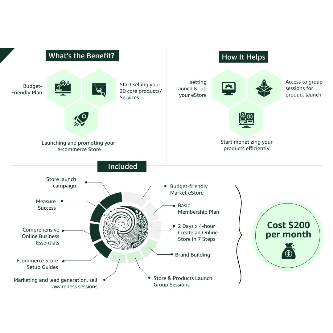 Monetization Program to Launch Online Business