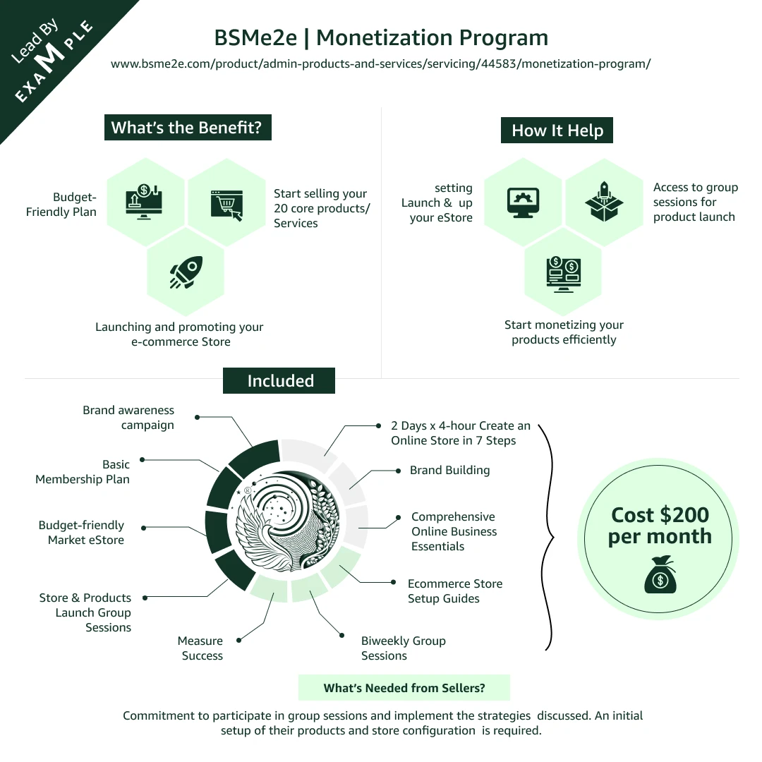 Monetization Program to Launch Online Business