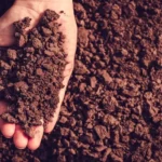 agriculture business ideas