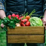 Young farmer showcasing organic vegetables