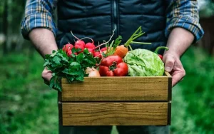 Young farmer showcasing organic vegetables
