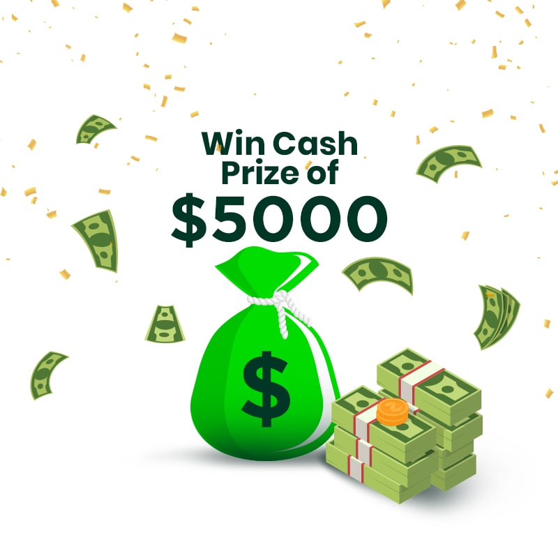 Ecommerce Sales Contest: Online Selling Competition