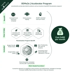 Accelerator Program to grow ecommerce store