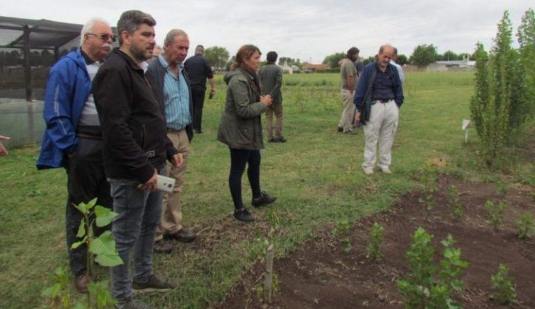 El Consejo Local Asesor de INTA despidió el 2019