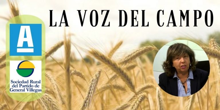 La voz del campo: «Diciembre y enero es el período a pasar»