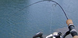 Se levantó la prohibición a la pesca en la Laguna del Parque