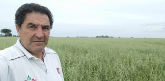 La guerra contra el campo que después paga todo el pueblo / Por Horacio Volpe (*)