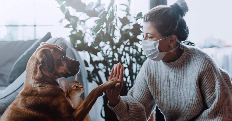 Día del animal: cómo ayudaron las mascotas a sobrellevar la pandemia