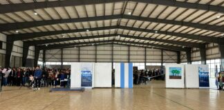 Las Escuelas 46 y 22 avanzaron en la Feria de Ciencias