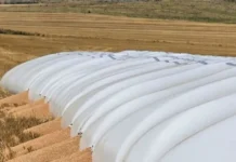 Piden penas de hasta cinco años de cárcel para quienes ataquen silobolsas