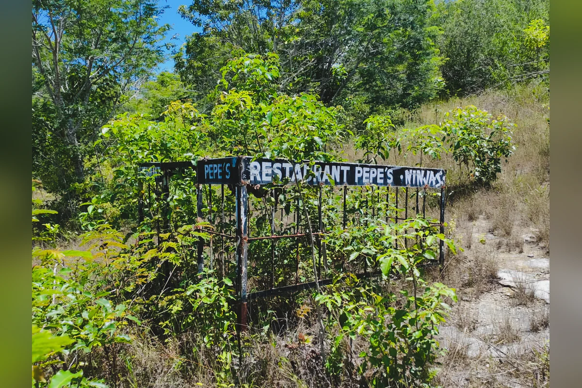 En el terreno donde iba a estar el santuario de "Pepe Tigre" solo hay jaulas en mal estado, pero no hay rastro de felinos. Foto: Profepa.