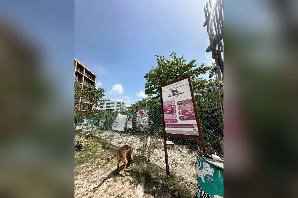 En varias ocasiones desarrolladores inmobiliarios han intentado apropiarse de la zona que los activistas reclaman como un a reserva natural. Foto: Haidé Serrano.