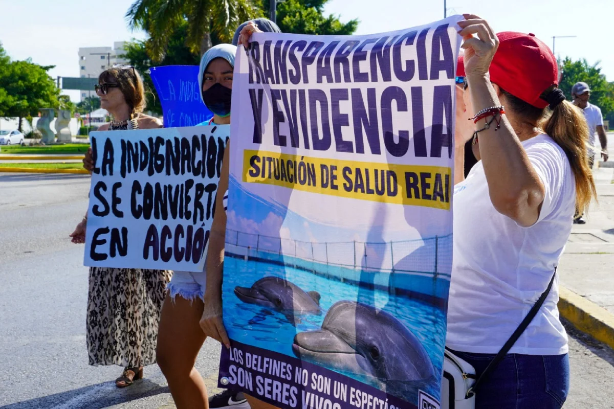 Protesta delfines ventura park cancún
