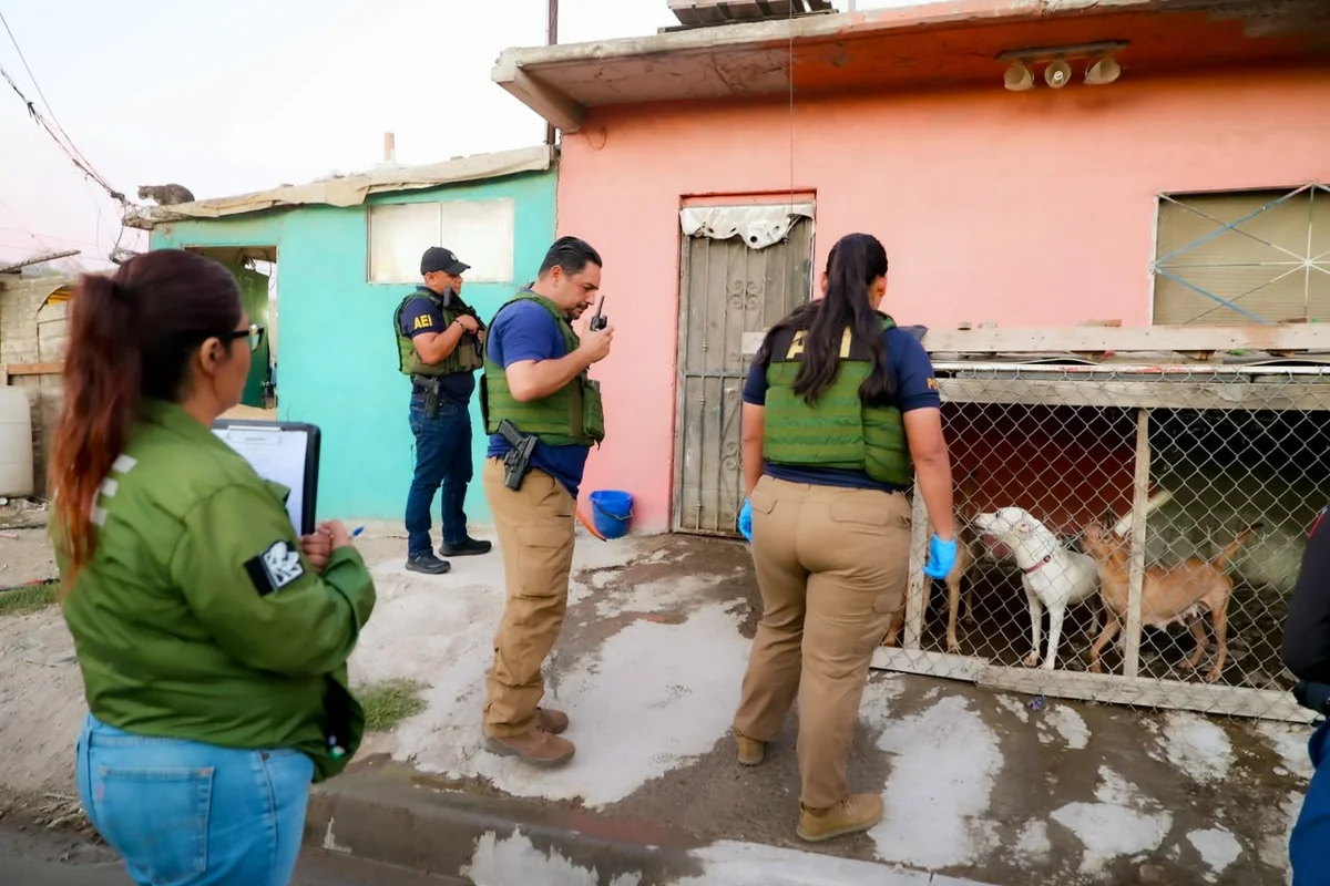 En el domicilio, personal de la Fiscalía encontró en mal estado y encerrados a las mascotas. Foto: Fiscalía BC.