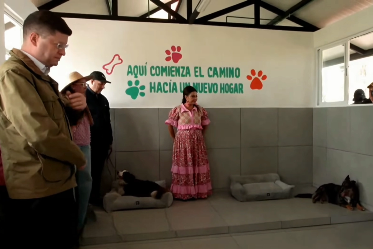 CDMX inaugura “Xólotl”, albergue público con capacidad para 600 perros y gatos
