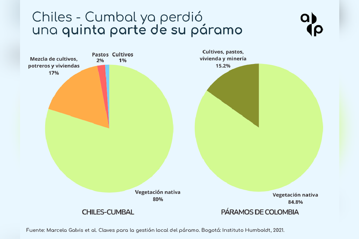 Foto: Mongabay Latam