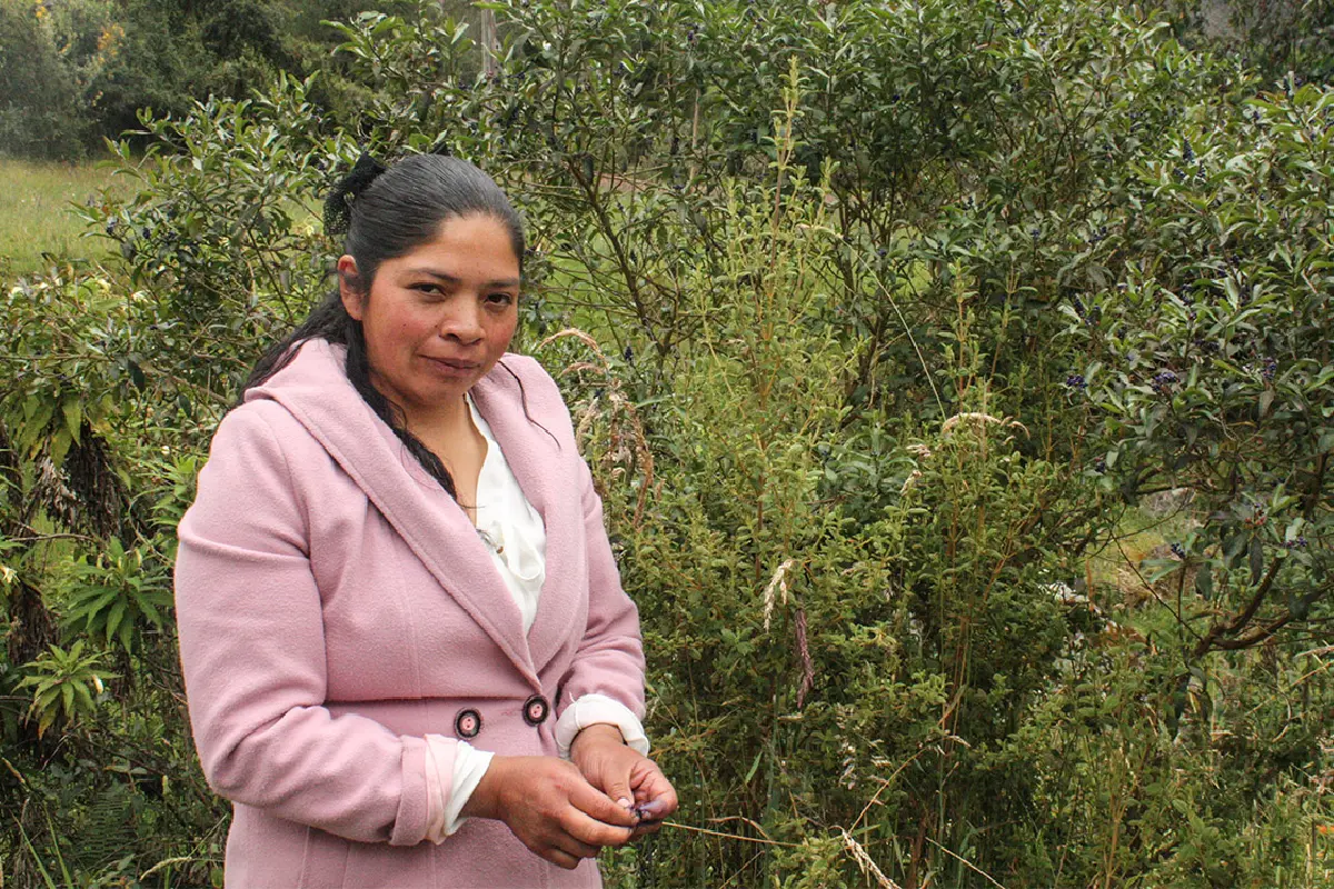 Liliana Alpala trabaja en la propagación de semillas como parte de las labores de conservación. Foto: Mongabay Latam | Andrés Bermúdez Liévano