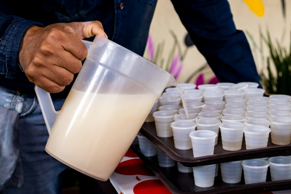 donde probar pulque en Amealco 