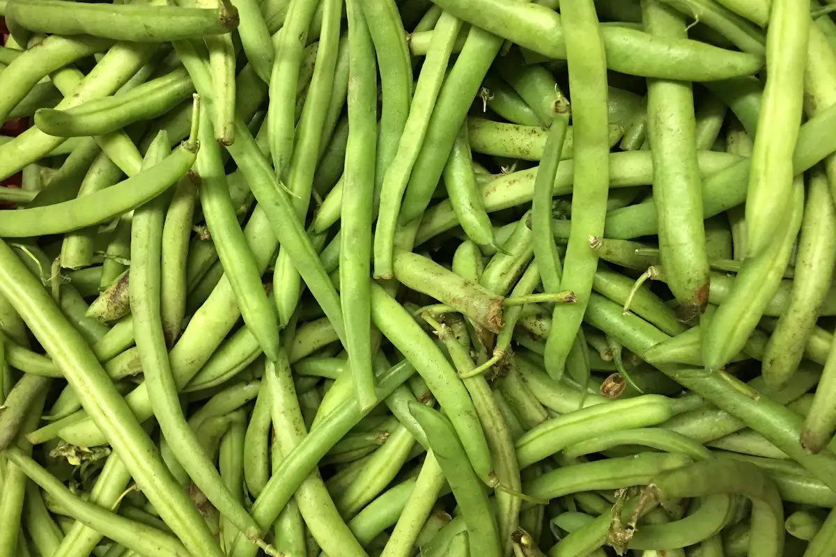 producto mexicano de otoño