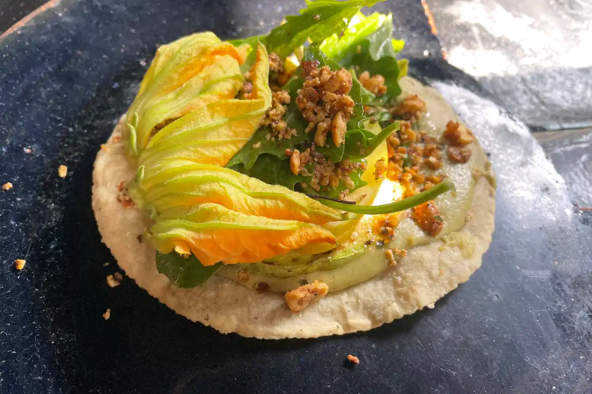 quesadilla de flor de calabaza