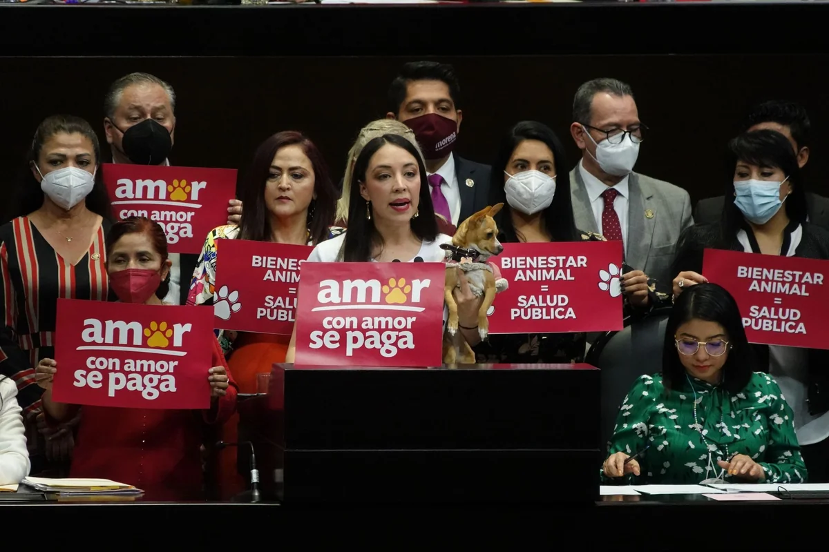Julieta Ramírez saltó del Senado a la coordinación estatal de la defensa de la Trnasformación y la Soberanía Nacional en Baja California esta semana. Foto: Cuartoscuro.
