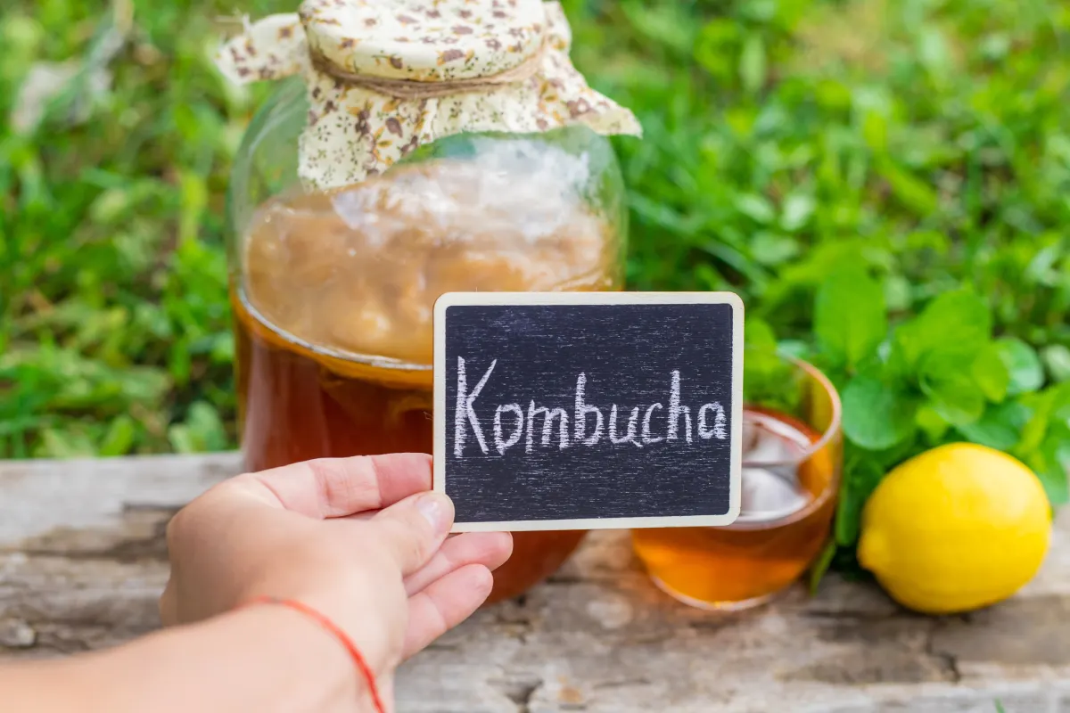 Mano sosteniendo un letrero que diga kombucha