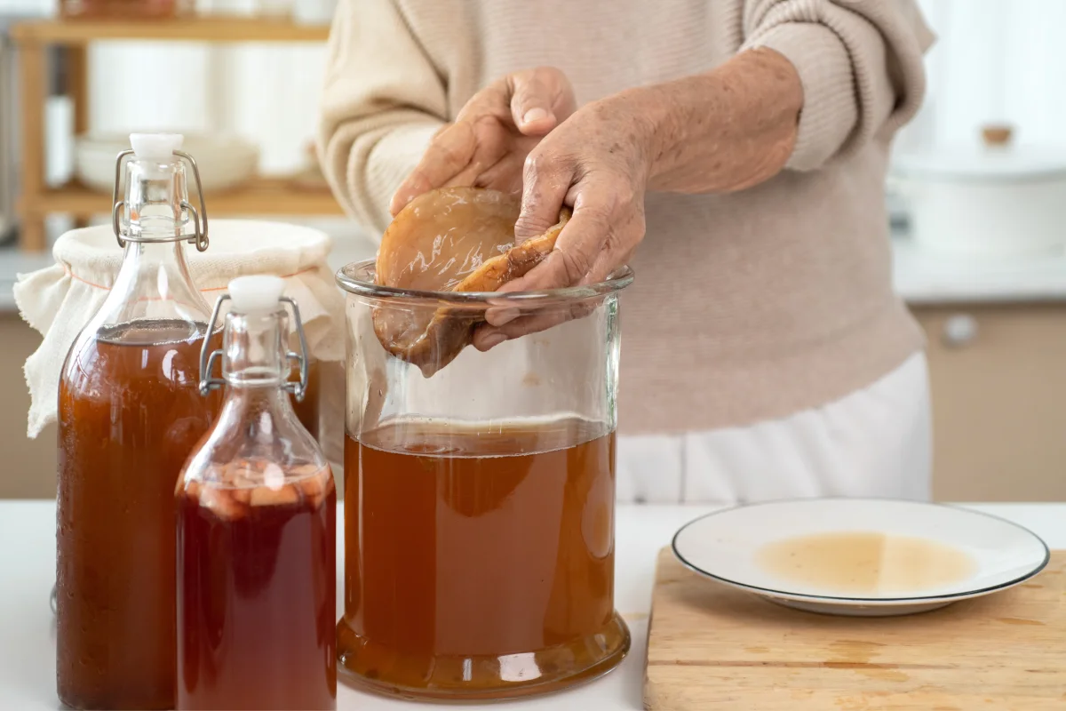 Manos de mujer sosteniendo SCOBY, acrónimo de la colonia simbiótica de levaduras y bacteria