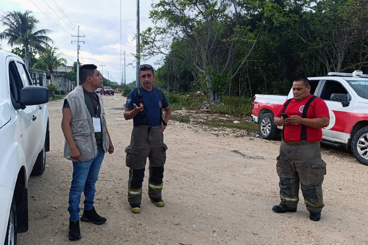 Las autoridades no hallaron al puma, pero pidieron a la población mantenerse alerta y cuidar a sus mascotas.