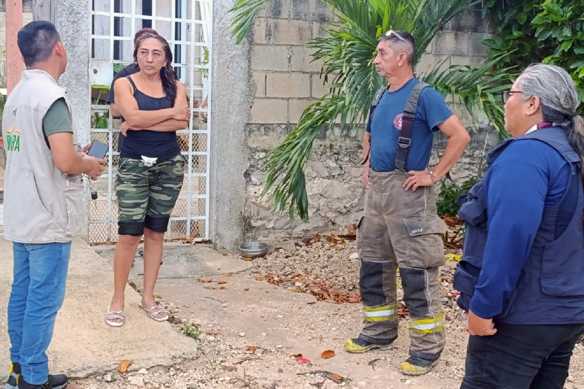 La Profepa dio recomendaciones a los vecinos de la zona en caso de encontrarse con un animal salvaje.