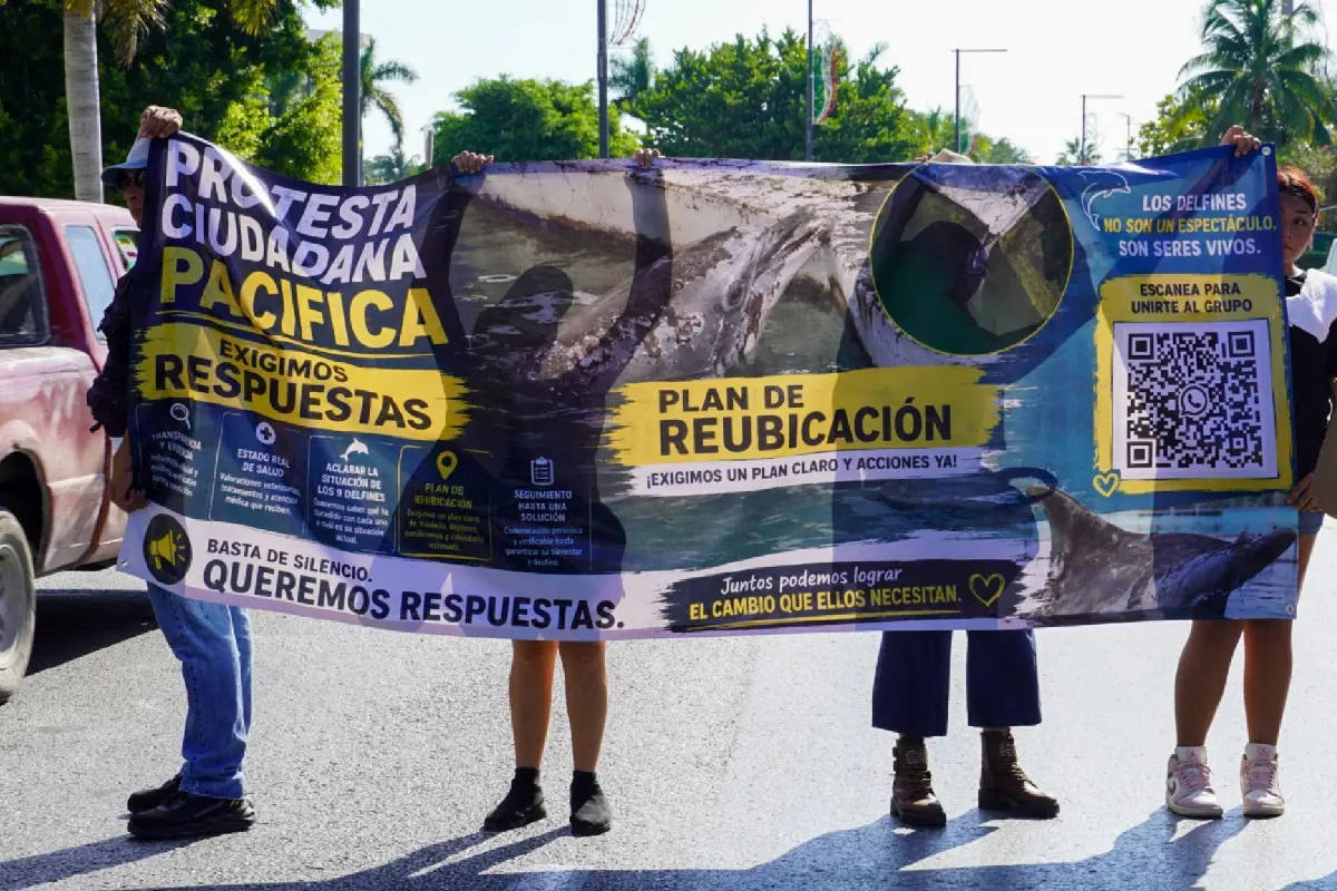 protesta abandono delfines ventura park