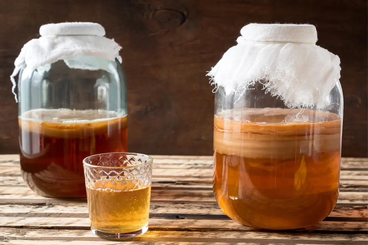 Frascos de vidrio con kombucha en su interior