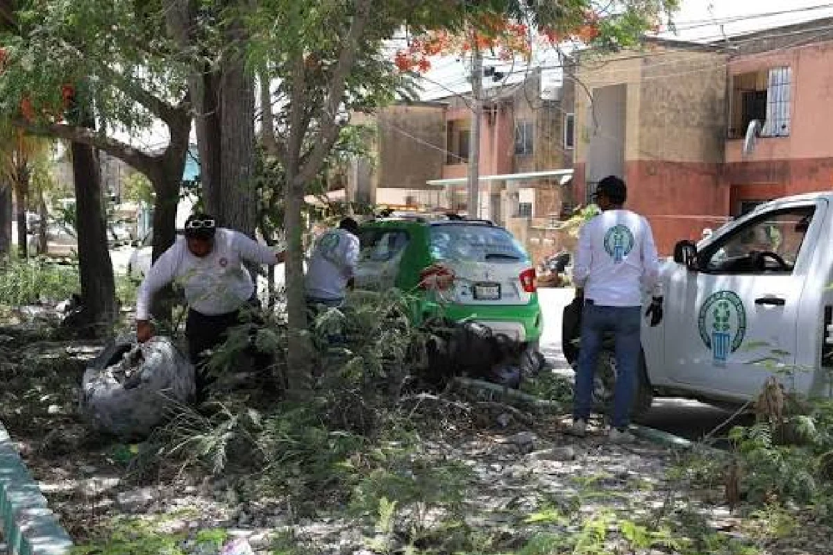 Los operativos han derivado en atención de 765 basureros clandestinos y 207 personas detenidas.